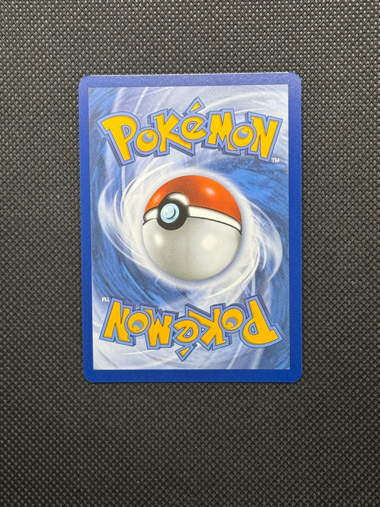 Back of N's Zoroark