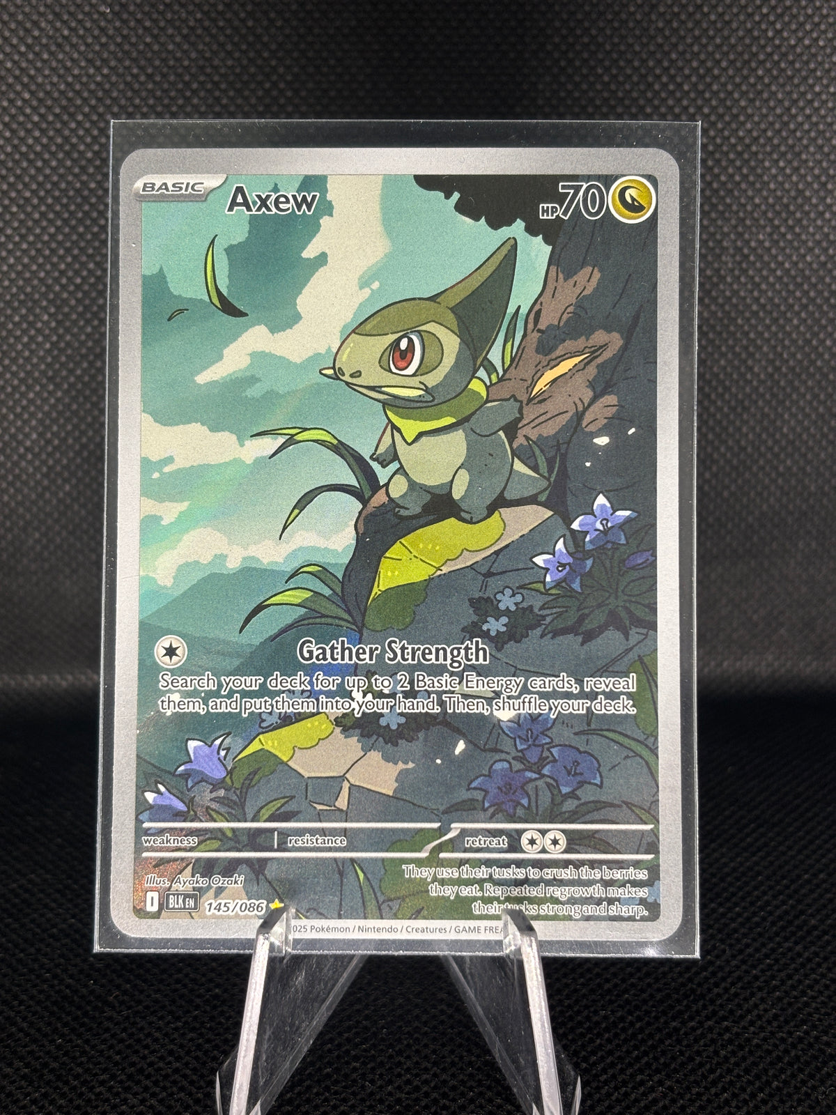 Axew - 145/086